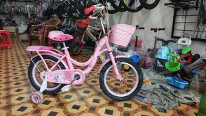 Phoenix Mp Ladies Bicycle 16 Size