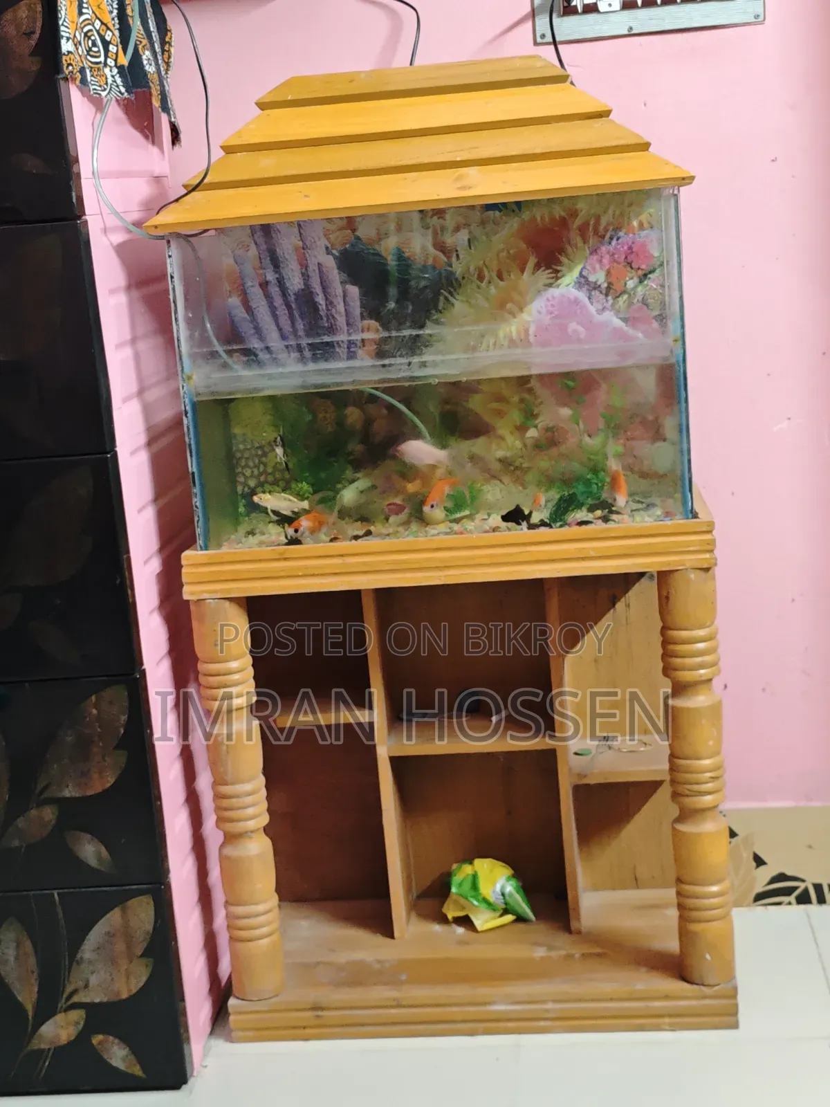বড় সাইজের এক্যুরিয়াম সহ ১৩ পিছ মাছ
