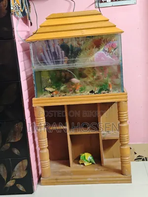 বড় সাইজের এক্যুরিয়াম সহ ১৩ পিছ মাছ