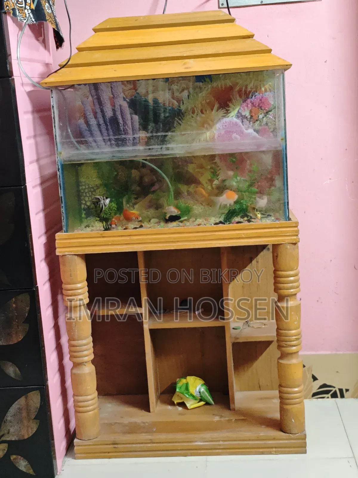বড় সাইজের এক্যুরিয়াম সহ ১৩ পিছ মাছ
