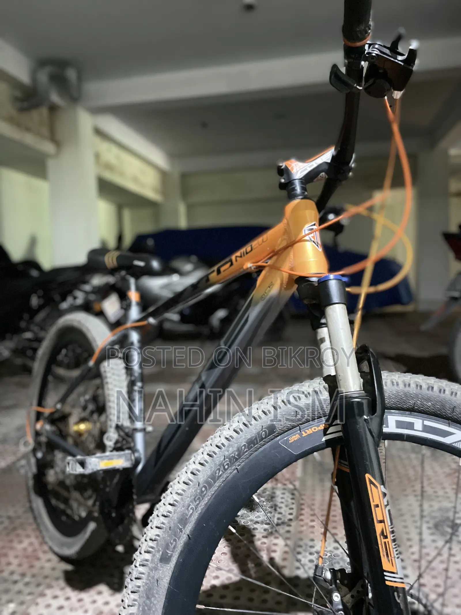 Triumph 2025 Orange