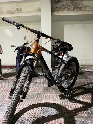 Triumph 2025 Orange