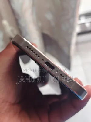 অ্যাপল আইফোন ১৫ প্রো ম্যাক্স ২৫৬ জিবি রৌপ্য