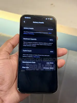 অ্যাপল আইফোন ১৫ প্রো ২৫৬ জিবি সিলভার