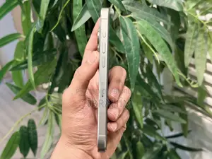 অ্যাপল আইফোন ১৫ প্রো ২৫৬ জিবি সিলভার