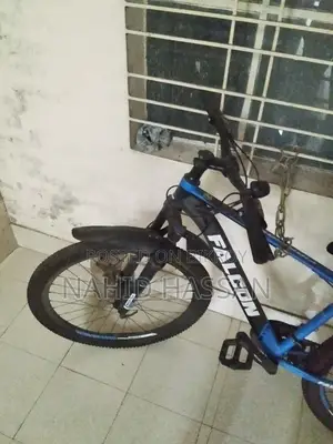 Falcon Fire Bird Cycle