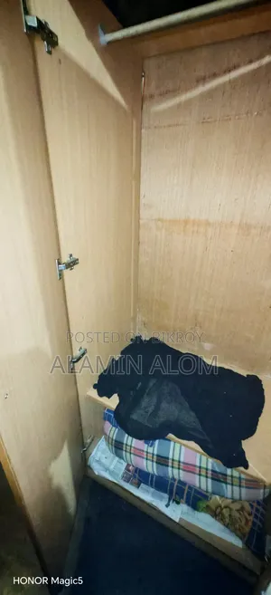 পারটেক্সের ভালো একটি আলমারি
