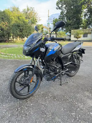 Bajaj Pulsar 150 2023 Black