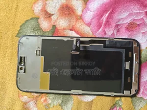 iPhone 15 Pro Max Display