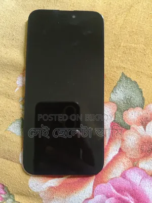 iPhone 15 Pro Max Display
