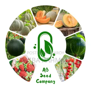 কল সেন্টার সেলস জব