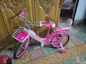 Brand New Bicycle
