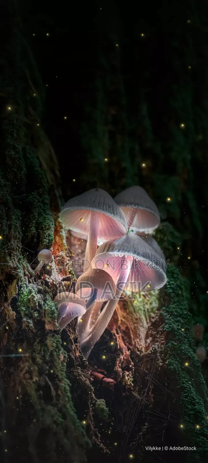 ভিভো ভি২৯ লাইট ১২৮ জিবি ব্ল্যাক