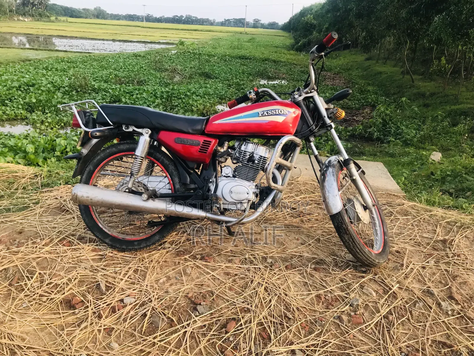 এইচ পাওয়ার ১২৫ ২০০৫ লাল