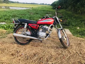 এইচ পাওয়ার ১২৫ ২০০৫ লাল