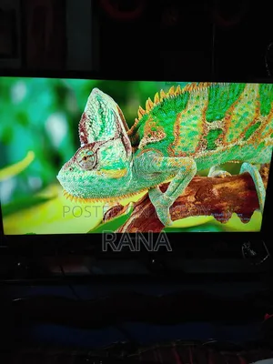 A TV Plus Monitor and a PC