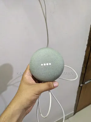 গুগল হোম মিনি