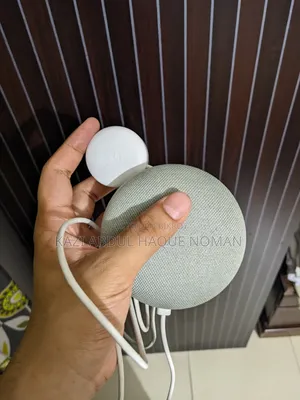 গুগল হোম মিনি