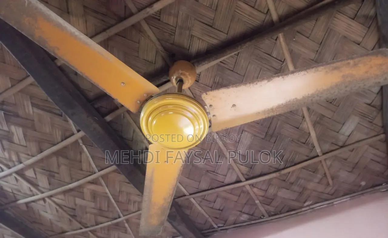 Ceiling Fan