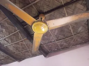 Ceiling Fan