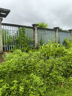 কম মূল্যে ৩ কাঠা প্লট জরুরি বিক্রি সেক্টর: ২৯, পূর্বাচল