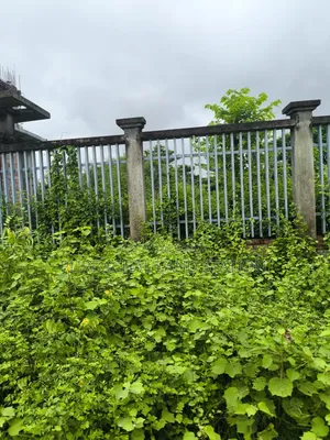 কম মূল্যে ৩ কাঠা প্লট জরুরি বিক্রি সেক্টর: ২৯, পূর্বাচল