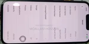 Apple iPhone 13 Pro 256 GB Gray