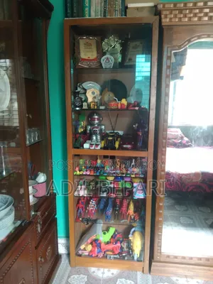 শোকেস/কর্নার/বুক শেলফ