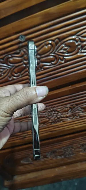 অ্যাপল আইফোন ১২ প্রো ম্যাক্স ২৫৬ জিবি গোল্ড