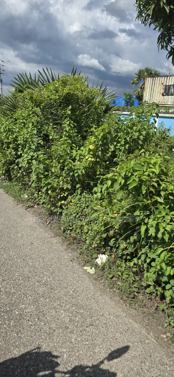 Sector - 24 Lake South Facing Boundary Complete Allotted Plot Sell