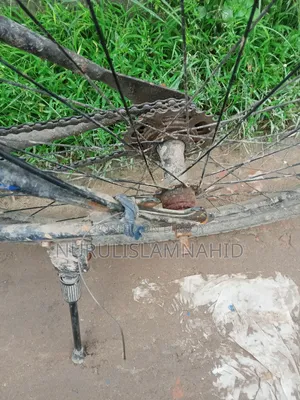 সাইকেল সেল