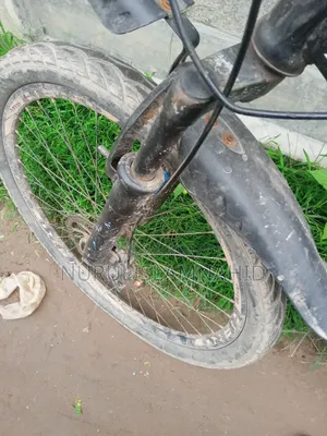 সাইকেল সেল