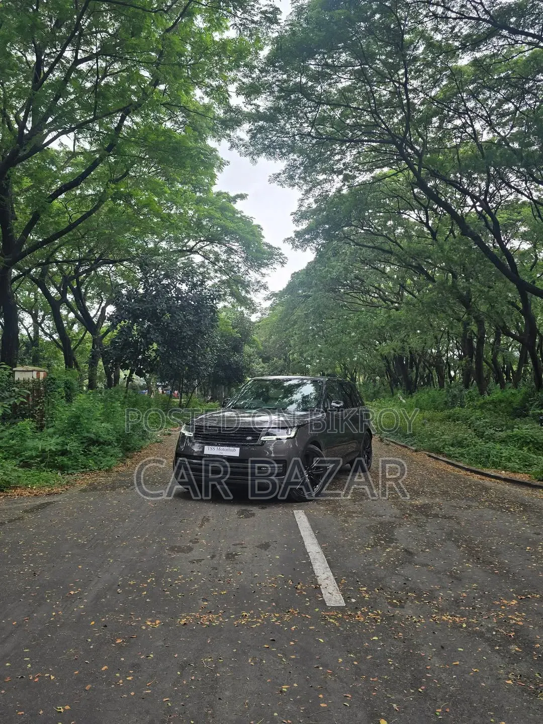 New Land Rover Range Rover Vogue 2025 Gray