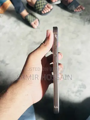 Apple iPhone 16 Pro Max 256 GB Rose Gold
