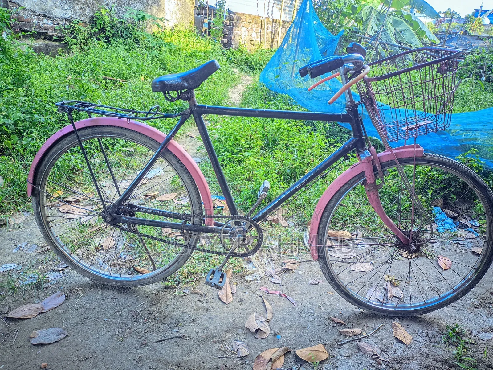 Bicycle for Sale