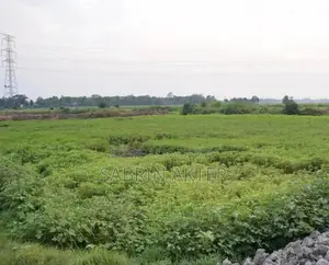 40 katha Land for Lease Main Road Frontage, Jiyanagar, Keraniganj