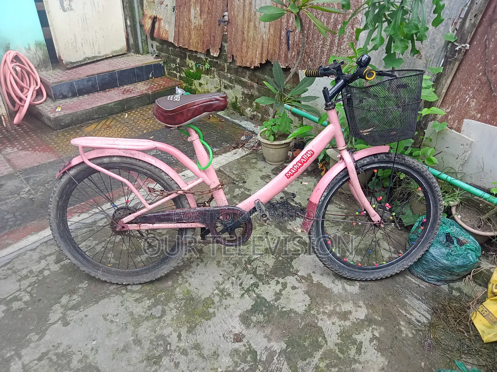 Ladies Cycle