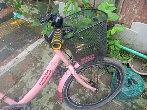 Ladies Cycle