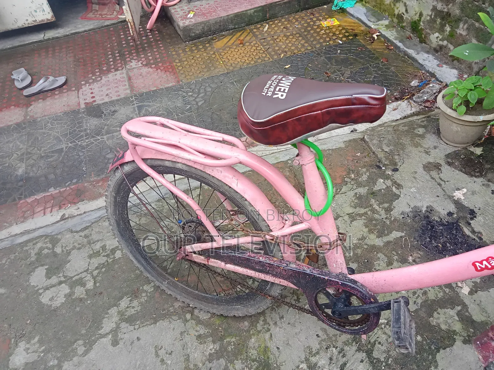 Ladies Cycle