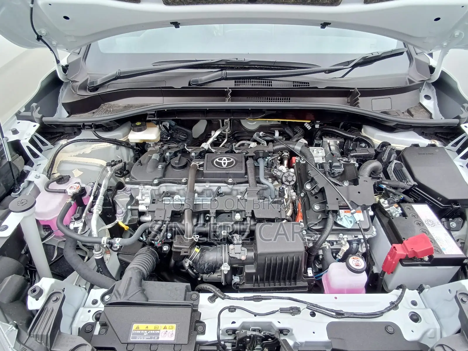 New Toyota Corolla Cross 2026 Pearl