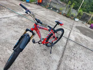 Beautiful Bicycle