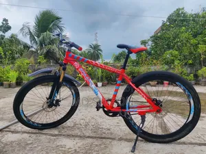 Beautiful Bicycle