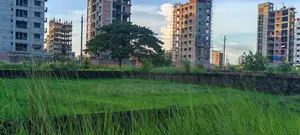 M Block 4 Katha South Facing Ready Plot for Sale