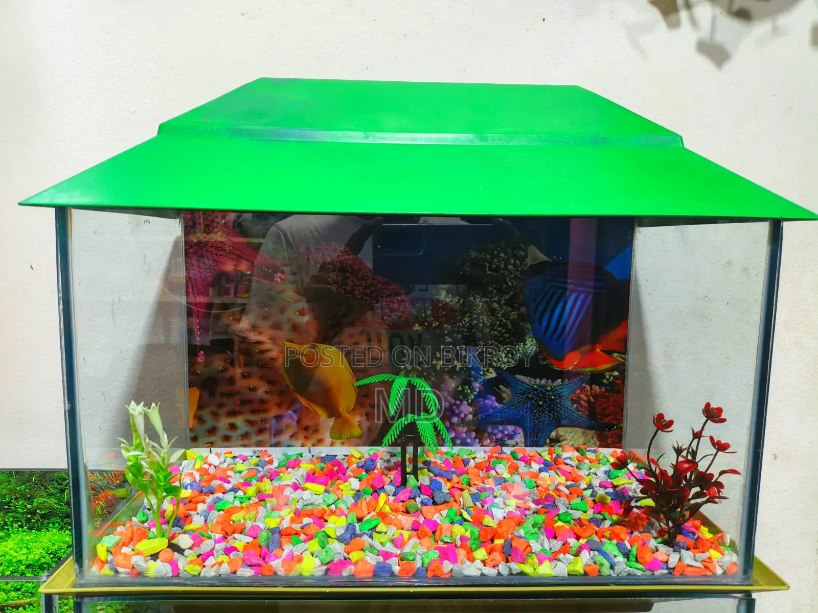 Aquarium for sale