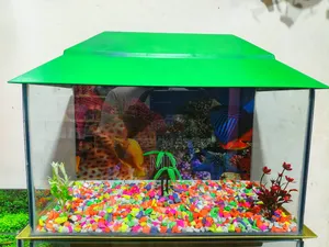 Aquarium for sale