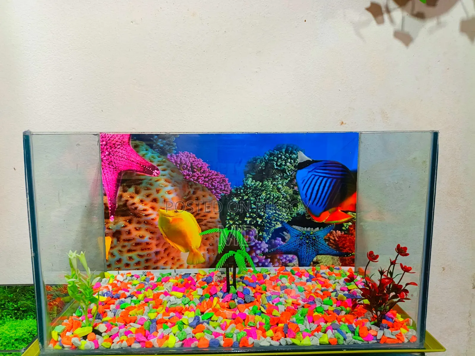 Aquarium for sale