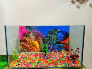 Aquarium for sale