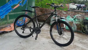 Phoenix Alloy Body Gear Cycle 26 Inch