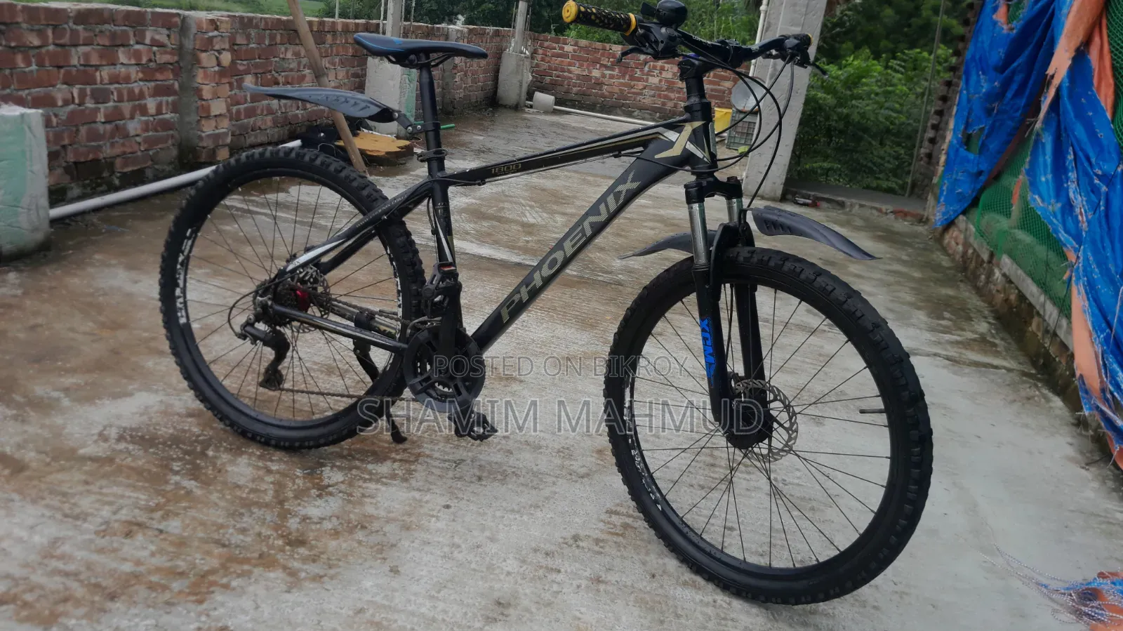 ফিনিক্স ১৮০০ মডেল সাইকেল