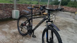 ফিনিক্স ১৮০০ মডেল সাইকেল